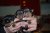 Offspring L